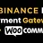 Binance Pay Payment Gateway for WooCommerce icon