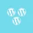 BNFW – Multisite Add-on icon