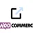 Dropshipping Export Products for WooCommerce icon