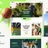 EagleElite - Sports Club WordPress Theme icon