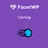 Facetwp Caching icon
