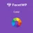 Facetwp Color icon