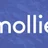 Give Mollie Gateway icon