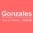 Gonzales – Wordpress Performance Plugin icon