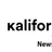 Kali Forms Newsletter icon