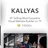 Kallyas – Responsive Multi-Purpose Wordpress Theme icon