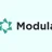 Modula Download icon