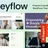 MoneyFlow - Finance Consulting & Investment WordPress Theme icon