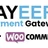 Payeer payment gateway for WooCommerce icon