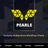 Pearle – Multipurpose Service & Shop Wp Theme icon