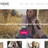 MyThemeShop - Style icon