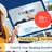 Travelor – Travel & Tour Booking WordPress Theme icon