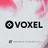Voxel icon