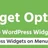 Widgets On Menu – Addon For Extended Widget Options Plugin icon