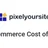 WooCommerce Cost of Goods by Pixelyoursite icon