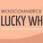 WooCommerce Lucky Wheel icon