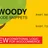Woody code snippets Premium icon