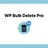 WP Bulk Delete Pro icon
