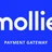 WP Charitable - Mollie icon