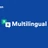 WP Grid Builder - Multilingual Addon icon