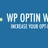 WP Optin Wheel icon