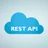 Wp Statistics – REST API icon