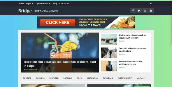 MyThemeShop - Bridge featured image