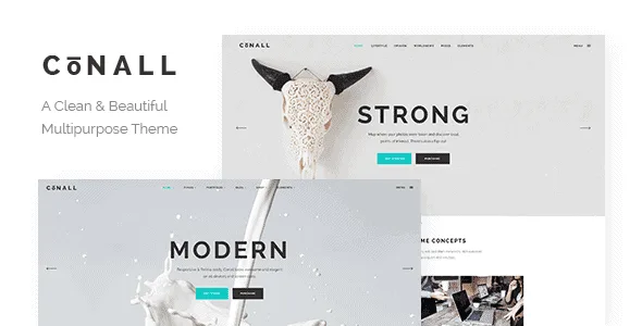 Conall – A Clean & Beautiful Multipurpose Theme featured image