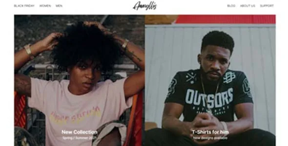 Cssigniter – Amaryllis Wordpress Theme featured image