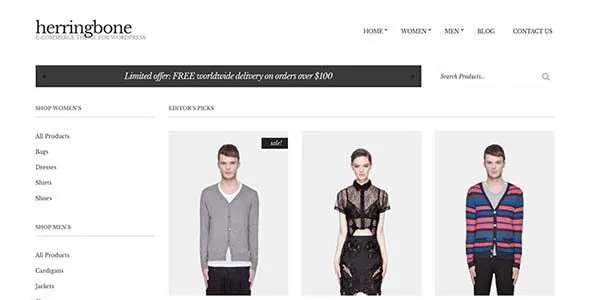 Cssigniter – Herringbone Wordpress Theme featured image