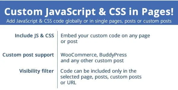 Custom JavaScript & CSS in Pages featured image