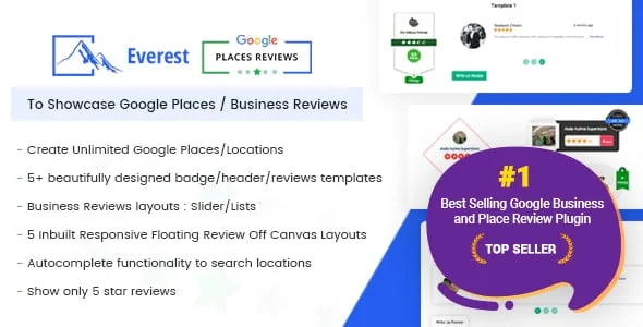 Everest Google Places Reviews featured image