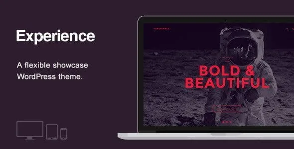 Experience – Showcase Wordpress Theme featured image