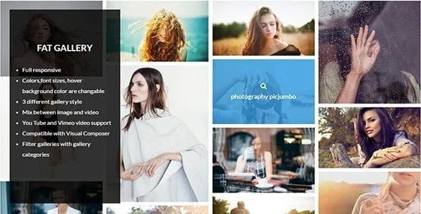 Fat Image Gallery For Wordpress featured image