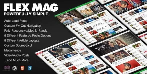 Flex Mag – Responsive Wordpress News Theme featured image
