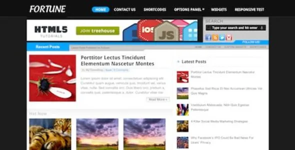 MyThemeShop - Fortune featured image