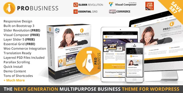 Pro Business – Responsive Multi-Purpose Theme featured image