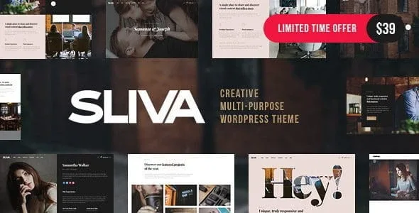 Sliva - Responsive Multi-Purpose Theme featured image