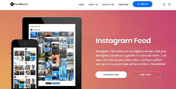 Social Feed Gallery Pro featured image