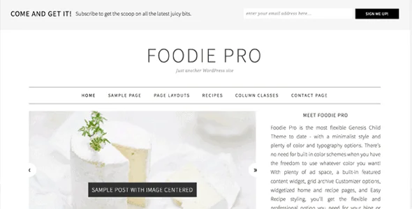 Studiopress Foodie Pro featured image