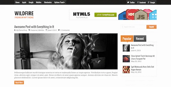 MyThemeShop - Wildfire – Clean Responsive Wordpress Theme featured image