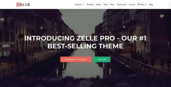 Zelle PRO featured image